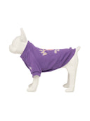 Pet Mlb Like Sweat