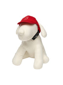 Pet Basic Cap