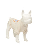 Pet Mlb Like Planet Sweat