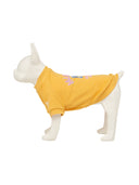 Pet Mlb Like Sweat