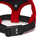 Pet Basic Cap