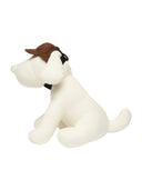 Pet Basic Cap