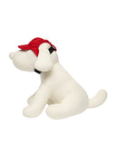 Pet Basic Cap