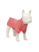 Pet Mlb Like Planet Sweat
