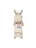 Pet Mlb Like Hoodie