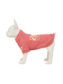 Pet Mlb Like Planet Sweat