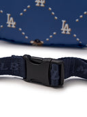 Dia Monogram Monobear Hipsack