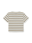 Women's Sportive Stripe Crop T-Shirts
