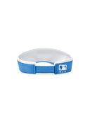 [cool Field] Varsity Circle Logo Sunvisor