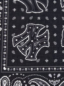 Paisley Bandana