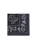 Paisley Bandana