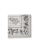 Paisley Bandana