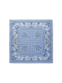 Paisley Bandana