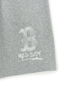 Basic Big Logo 9" Shorts