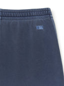 Varsity Vintage Washing Graphic 9" Shorts