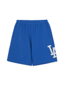 VARSITY BIG LOGO Shorts