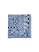 Paisley Bandana