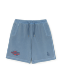 Varsity Vintage Washing Graphic 9" Shorts