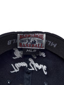 Basic Team Ballcap