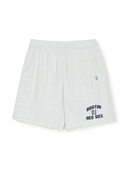Varsity Lettering 9" Shorts
