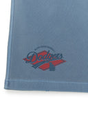 Varsity Vintage Washing Graphic 9" Shorts