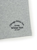 Basic Lettering Logo 9" Shorts