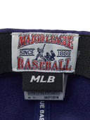 Batter Flex Structured Ball Cap