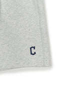 Basic Small Logo Summer 9" Shorts