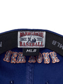Basic Team Ballcap