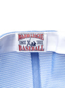Megabear Mesh Snapback