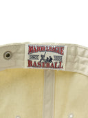 Varsity Vintage Structured Ball Cap
