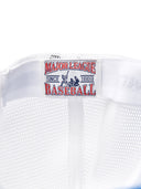 [cool Field] Ace Mesh Ballcap